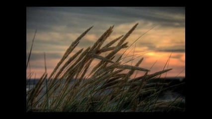Serge Devant feat. Jaren - No Good