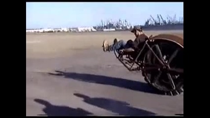Takova neshto ne se vijda vseki den