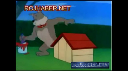 tom and jerry H D 