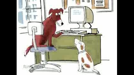 Web Hounds And Light Sleeper