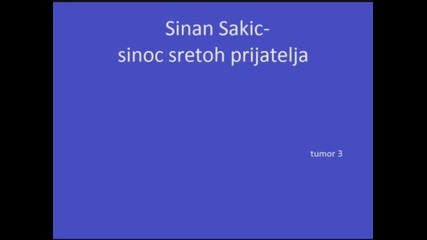 sinan sakic- sinoc sretoh prijatelja