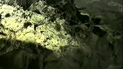 Кали - За да те имам