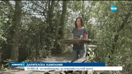 Драгоманското блато е в плачевно състояние