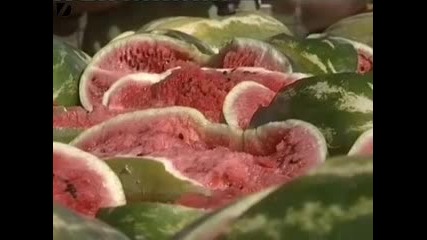 Разбиване На Дини С Глава 