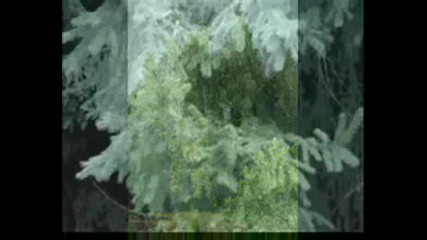 Otminalite dni.wmv