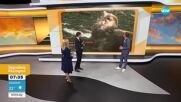Гръмотевични бури в началото на лятото