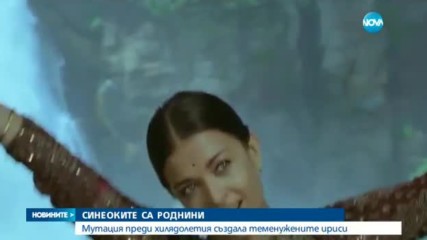 СИНЕОКИТЕ СА РОДНИНИ: Мутация преди хилядолетия създала теменужените ириси