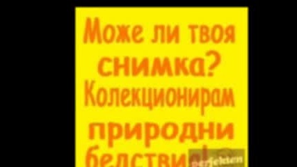 Майната Ти, Копеле...