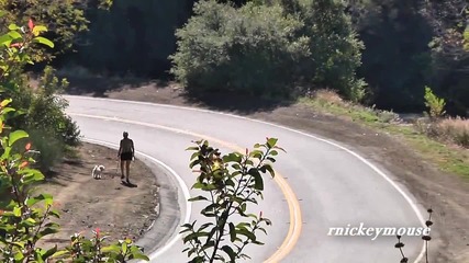 Kawasaki Zx10r Crash