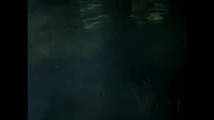 The Offspring - Hammerhead
