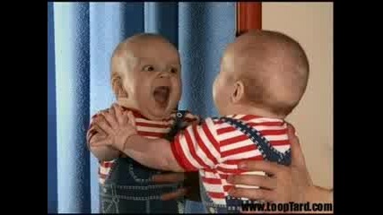 Funniest Pics ever Shown Anywhere Xd 