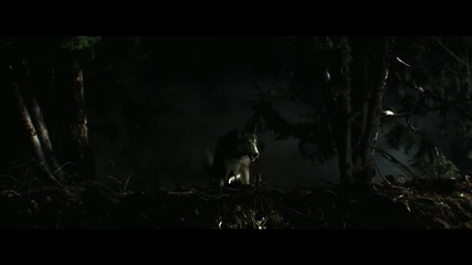 New music video Eminem - Love You More