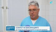 Криза с грипните ваксини: Как стои въпросът в кабинетите на личните лекари