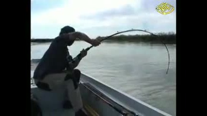 Риболов на Сом 