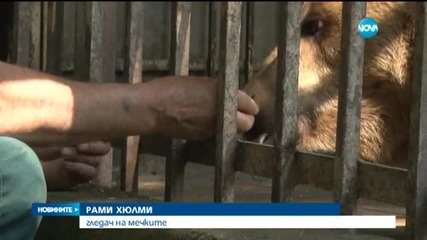 Пренасят мечките от Русе в резервата в Белица