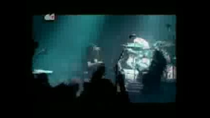 System of a Down Radio Video