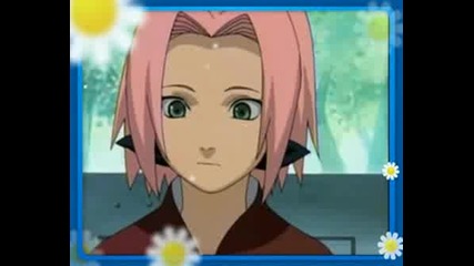 Pretty Sakura