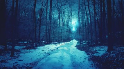 Bob Fanzidon - Blue Forest (original Mix)
