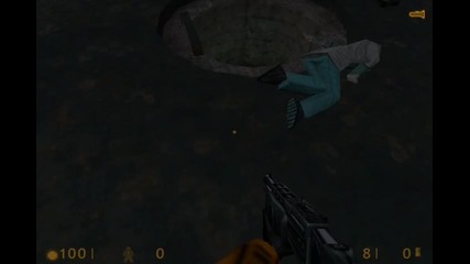 Half Life Tochno 