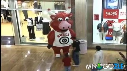 Луд бик в мола