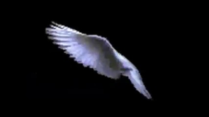 mariah carey-prevod