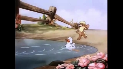 Tom and Jerry Episode 8 
