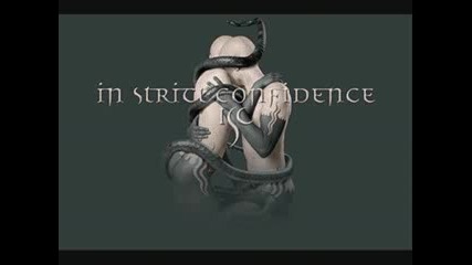 In Strict Confidence - Stern