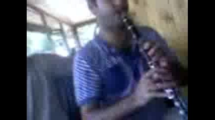 Gynaidin Ruse