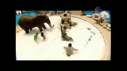 Константин - Едвам ме нави