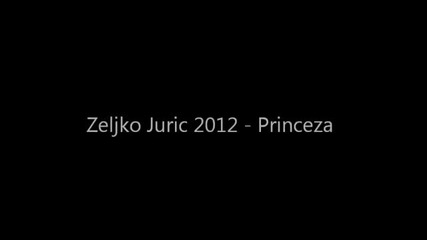 Zeljko Juric 2012 - Princeza