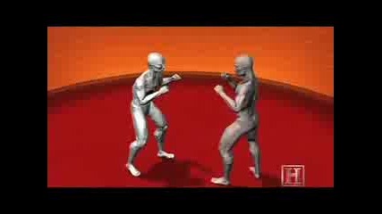 Savate - High Kick