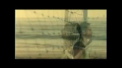 Ahmed El Sherif - Badi Tire
