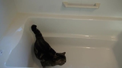Мару си играе във ваната