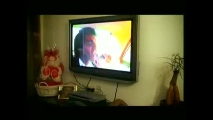 sarid hadad - karusela