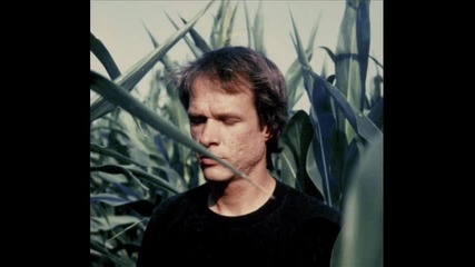 Arthur Russell Home Away From Home 