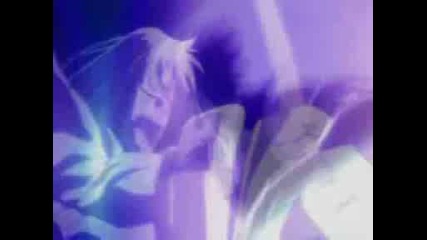 Bleach 219