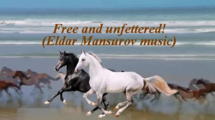 Свободни и независими! ... ( Eldar Mansurov music) ...