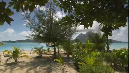 Enya - Wild Child & Caribbean Blue Tropical 