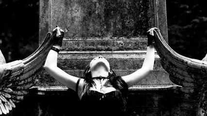 W.a.s.p. - Heaven's Hung In Black
