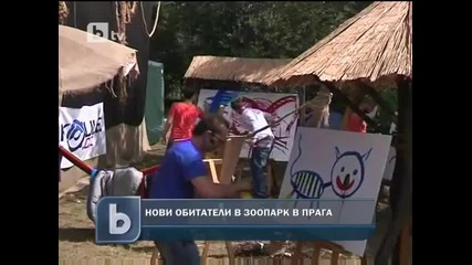 Четирима зад решетки в зоопарк