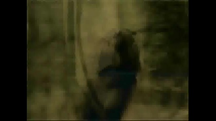 Katherine Pierce - Sexy and I know it