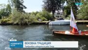 Започна преброяването на лебедите по река Темза