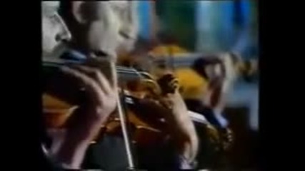 The Buoys - Give up your guns (1972) 