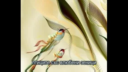 Лунната соната - Дамян Дамянов 