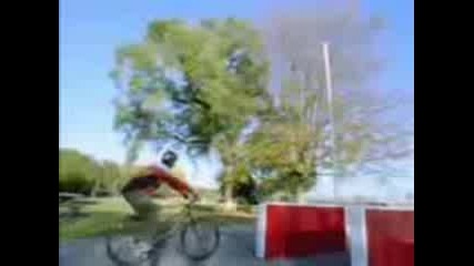Cycle Stunts