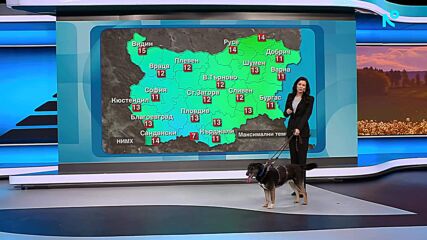 „Време за надежда“: Деница Стоянова търси дом за красивата Марта