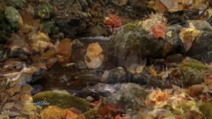 Andre Rieu - Les Feuilles Mortes (autumn Leaves)