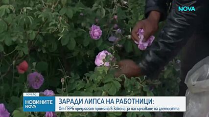 Новините на NOVA | Централна емисия | 11 юли 2026