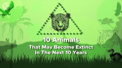 10 животни, които могат да изчезнат през следващите 10 години