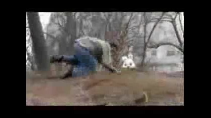 Заек Побойник